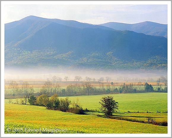 450446   Morning fog burning off in Cades Cove, SMNP 